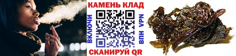 KRAKEN tor  купить наркотик  Севастополь  ГАШИШ хэш 