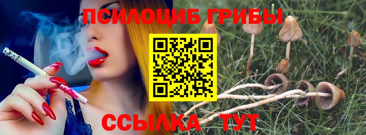 Псилоцибиновые грибы мухоморы  Псилоцибиновые грибы GOLDEN TEACHER  купить закладку  Севастополь  Вход с VPN 