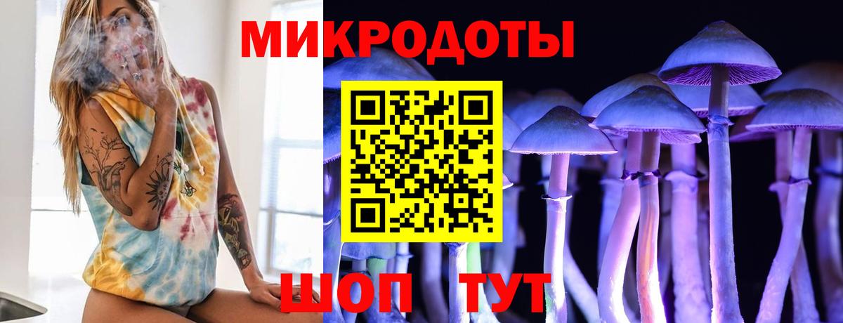 Псилоцибиновые грибы Cubensis Севастополь